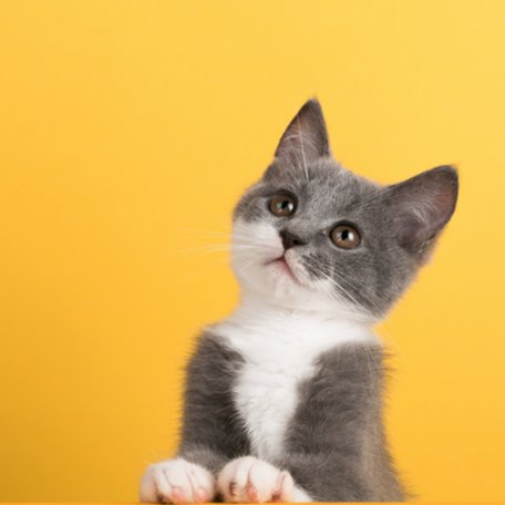 Ikona Lorem ipsum dolor sit amet, consectetur adipiscing elit, sed do eiusmod tempor incididunt ut labore et dolore magna aliqua. Ut enim ad minim veniam, quis nostrud exercitation ullamco laboris nisi ut aliquip ex ea commodo consequat. Duis aute irure dolor in reprehenderit in voluptate velit esse cillum dolore eu fugiat nulla pariatur. Excepteur sint occaecat cupidatat non proident, sunt in culpa qui officia deserunt mollit anim id est laborum.